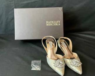 Badgley Mischa