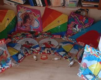 Let's go fly a kite or twelve!