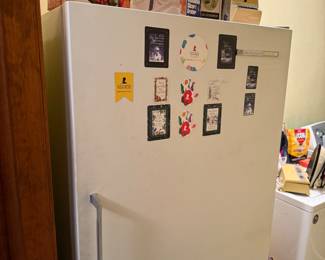 Upright Freezer