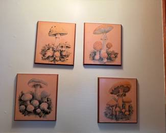 Mushroom Wall Art