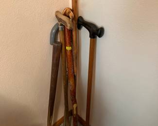 Walking Sticks/Canes