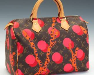 Louis Vuitton Ltd. Ed. Ramages Speedy 30 Monogram Ramages