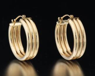 Ladies Pair of Gold Tubular Design Hoops