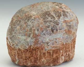 Prehistoric Dinosaur Egg