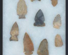 North American Projectile Points in Display Case, ArchaicWoodland Periods 4000 1000 BC
