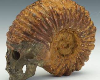 Carved Fossil Ammonite and Stone Skull Sculpture