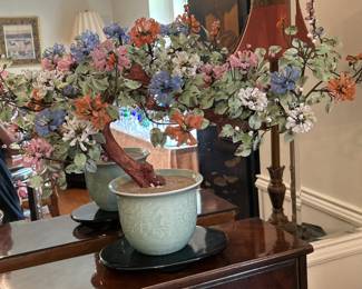 JADE BONSAI TREE