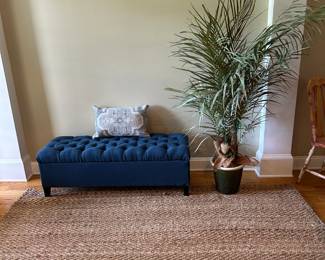 Storage bench and plant
