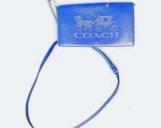 Coach Anna Fold Over Crossbody Clutch
