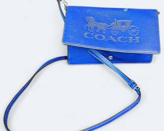 Coach Anna Fold Over Crossbody Clutch