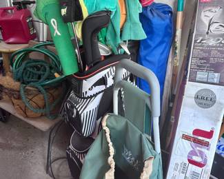 Ladies golf clubs.