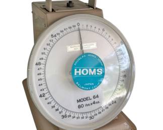 Douglas Homs Model 64 Scale