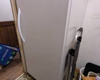 Frigidaire Stand Up Freezer 