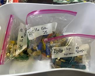 LOT OF SHOTGUN SHELLS AND 10 GA
