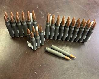 40 ROUNDS OF 223 REM AMMO
