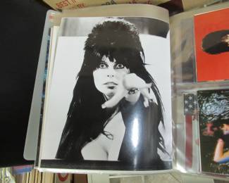 Elvira Mistress of the Dark