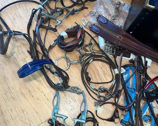 Lots of bits, bridle & tack.