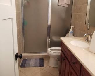 Glass shower doors; bath vanity