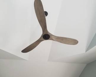 Ceiling fan