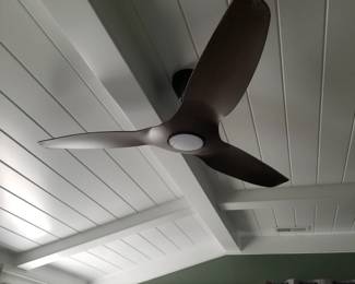 Illuminated ceiling fan