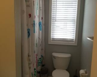 Updated commode; shower curtain
