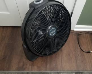Fan