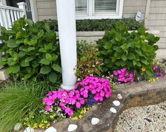 Annual & perennial plantings