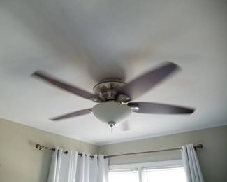 Illuminated ceiling fan