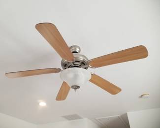 Lighted ceiling fan