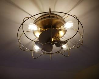 Illuminated ceiling fan