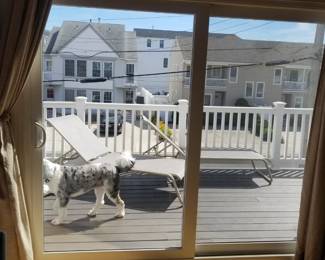 Large sliding glass doors - nearly new! Chaises