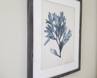 Sealife art