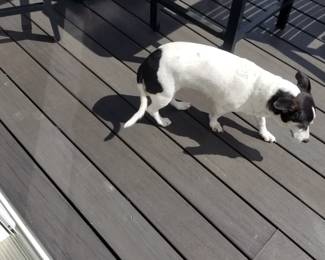 Trex decking - gray