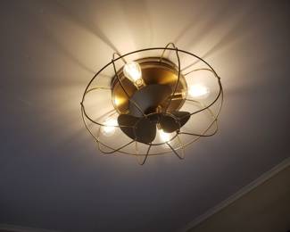 Illuminated ceiling fan