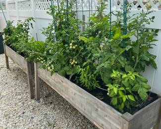 Raised garden boxes