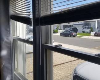 Replacement windows throughout home