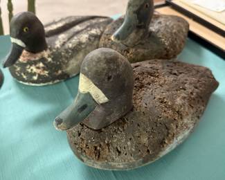 Duck decoys with glass eyes