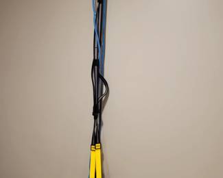 TRX Suspension Trainer.