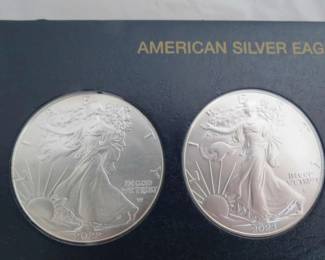 11 X American Silver Eagle