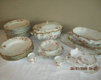 Haviland (Limoges France) dinnerware