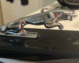 Jaguar hood ornament