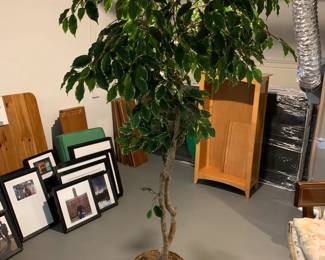 Faux indoor plant in wicker basket - 80 inches tall - $20