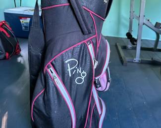 Ladies golf bag - $5. Located in Ridgewood NJ.