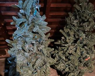 Indoor/outdoor Christmas trees - $5 each. Located in Ridgewood NJ.