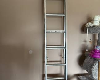 #53 16' extension ladder $80.00
