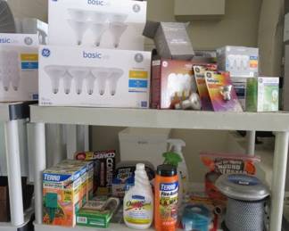 Light Bulbs, Hot Shot/Terro Ant Bait