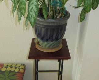 Potted Plants/Plant Stands