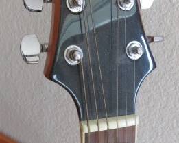 Mitchell Guitar & Floor Stand