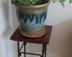 Live Potted Plant/Plant Stand