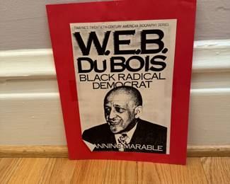 W.E.B DU BOIS black radical democrat